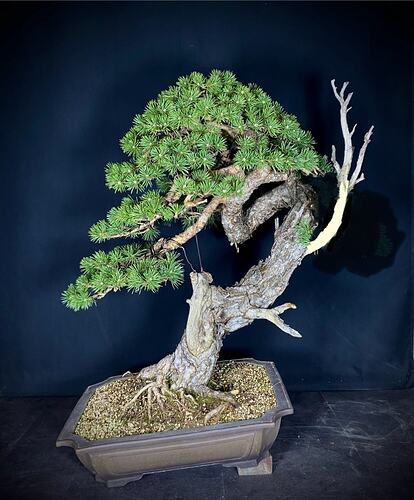 att.csT1kLMQj-pYm4gFTUDEPgGy3vlEcSAl23m7WLm9kvw