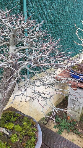 20250202_153930_resized