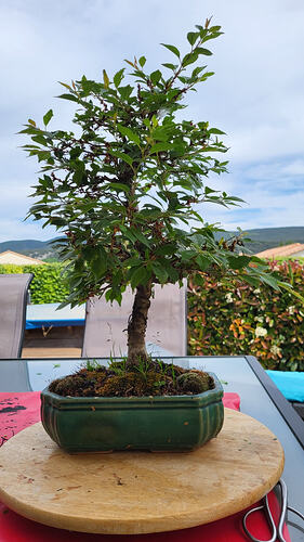 20260420_154627_resized