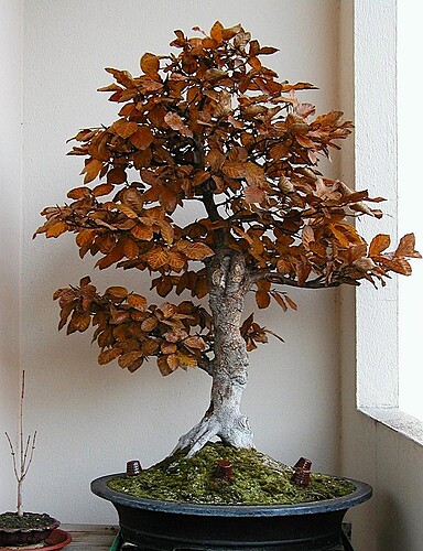 28c