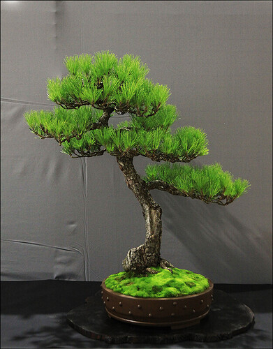 2024.10.20(22)copie1