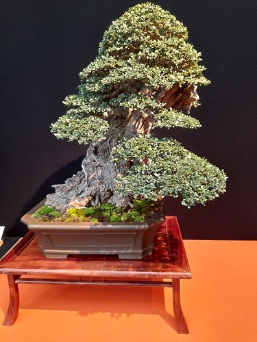 bacb61c3-b63c-4821-b31e-99619099c79f-copied-media~2