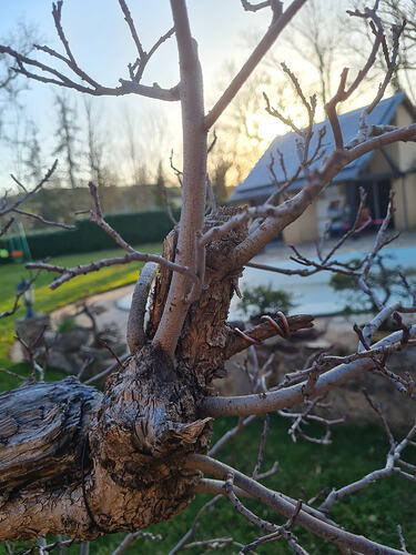 1000025049