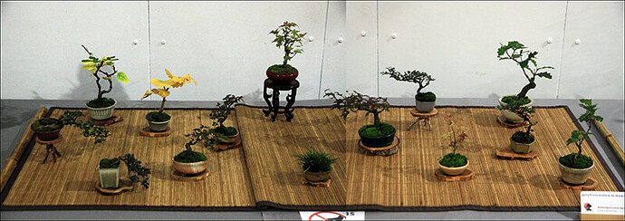 2024.10.20(15-16)copie1