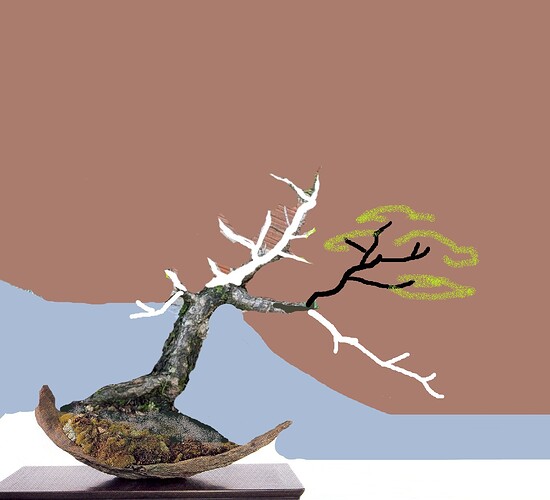 ___________DSCN01virt7