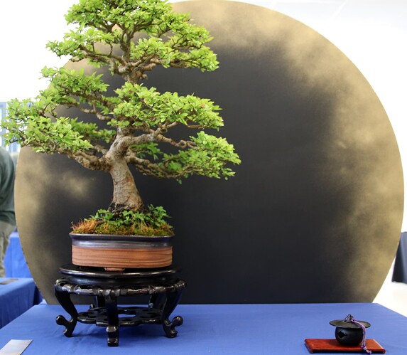 2025-05 Marcoussis (12)