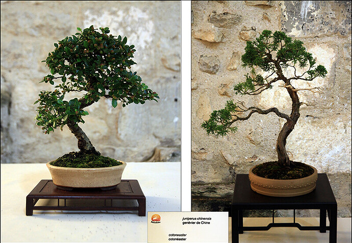 2025.05.24(montage94-97)1