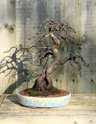 PXL_20250217_094531789.MP~2