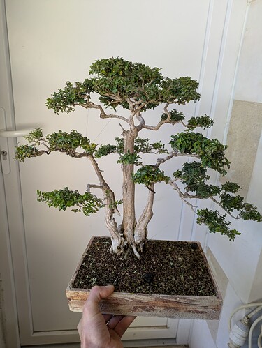 PXL_20251006_111926476