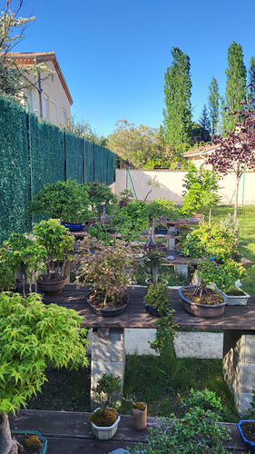 20260415_174507_resized