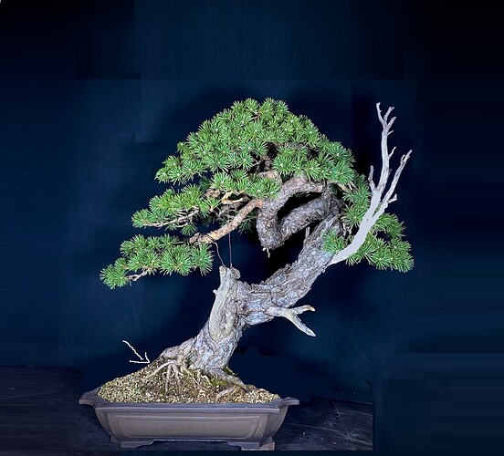 ___________DSCN01-1virt3