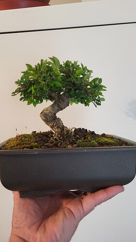 20250419_150802_resized