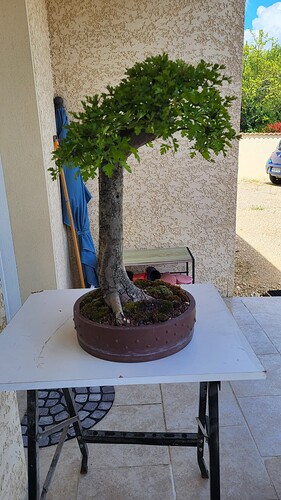 20250421_150045_resized