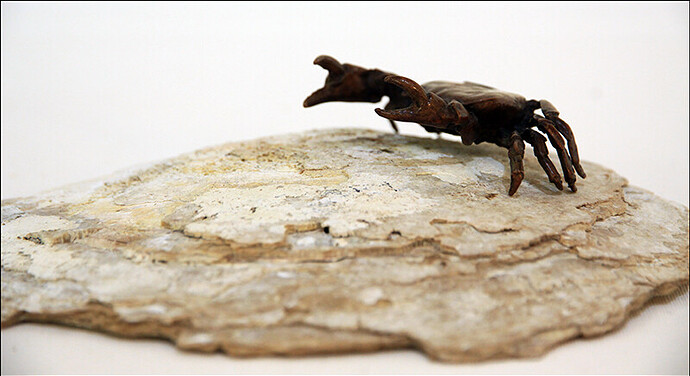 2025.05.24(55)copie1