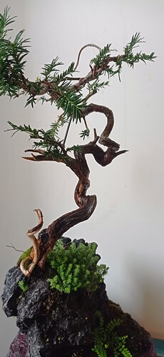 IMG_20250831_103906