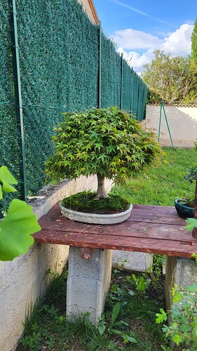 20250421_174546_resized_2