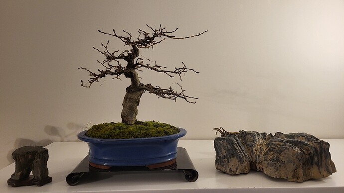 20250125_171626_resized