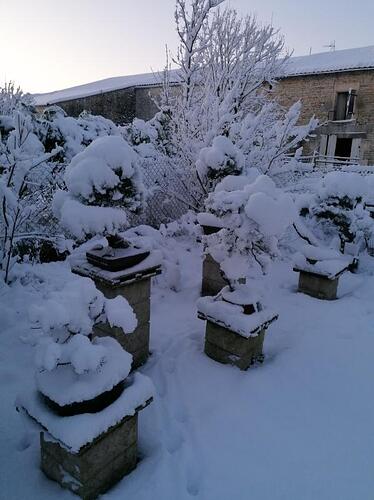 image0000071