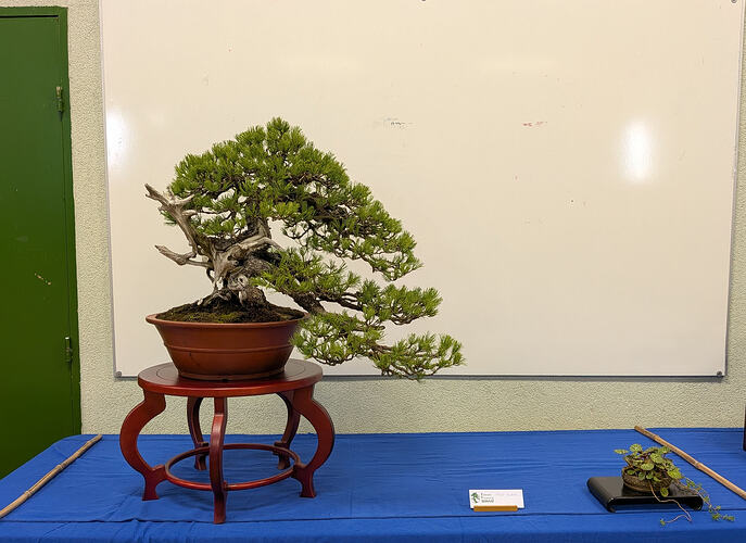 PXL_20260301_103343358