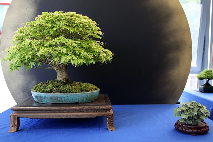 2025-05 Marcoussis (38)