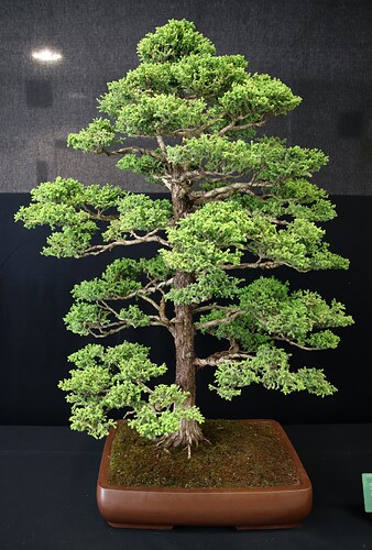 2025-05 Marcoussis (24)