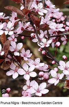 Capture d’écran 2025-11-10 à 18.54.46