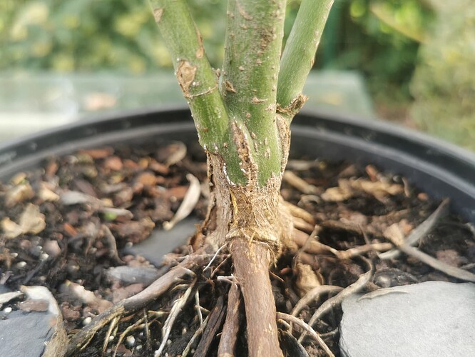 17622458905483738514633294758319