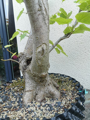 IMG_20260502_171035