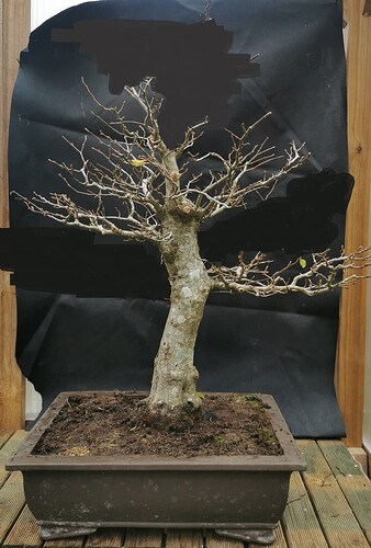 3080dde0fc76031c5f675431b0a7c0a8f407e2c2