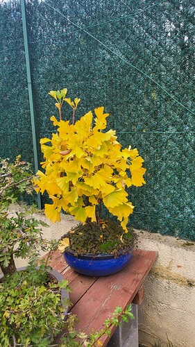 20251024_112306_resized