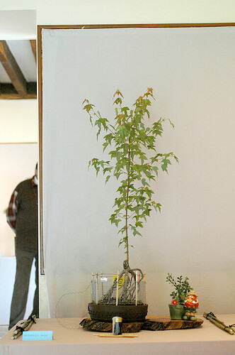 DSC_0097 copie