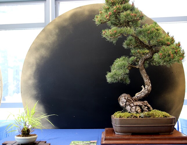 2025-05 Marcoussis (40)