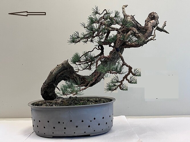 7c212da41c7536383299dc920f5227e24eb4a20b_2_999x750 - Copie