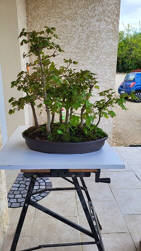 20250419_171038_resized