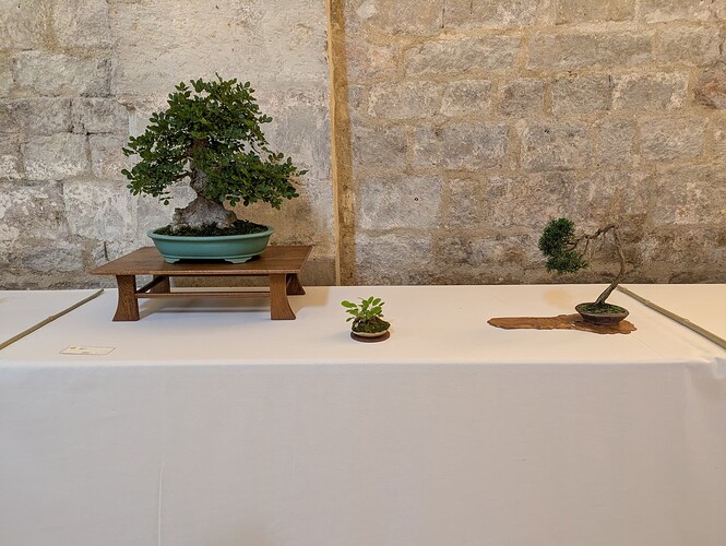 PXL_20250525_145303561