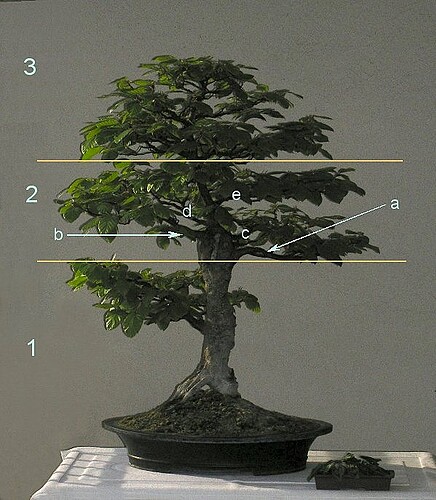 30c