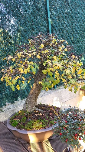 20251119_090721_resized