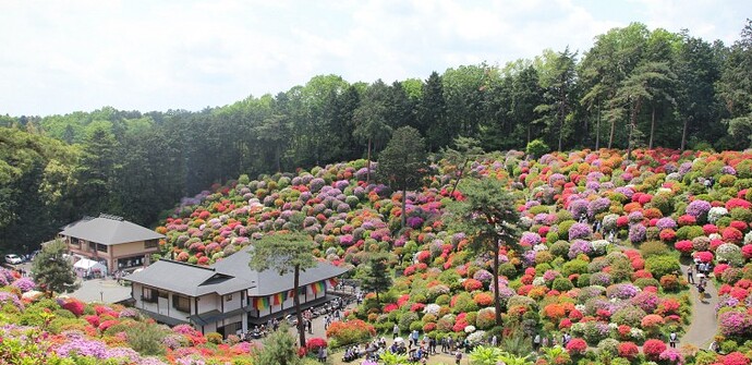 shiofune-kannon-ji-5