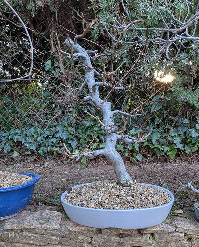 PXL_20260220_161808928.MP