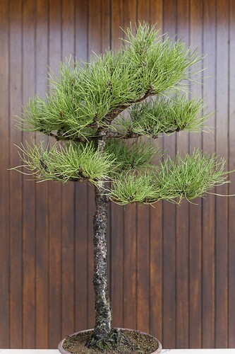 483217222_1673920963203490_334135819294416434_n