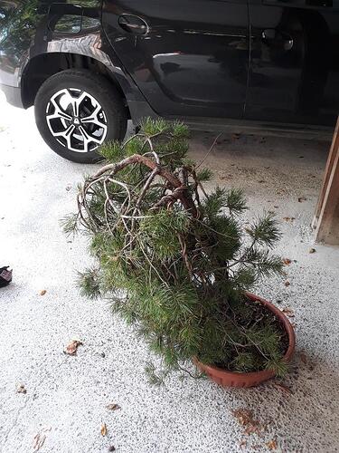 Resized_20210908_122844_2789