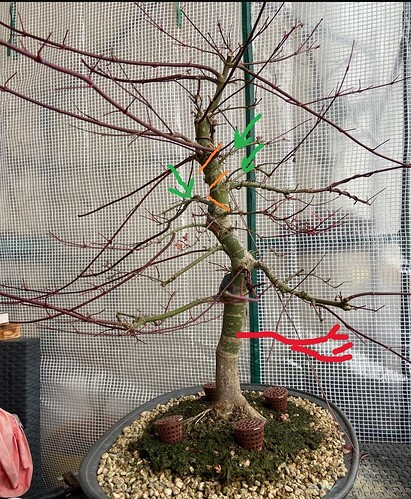 ___________DSCN01-02