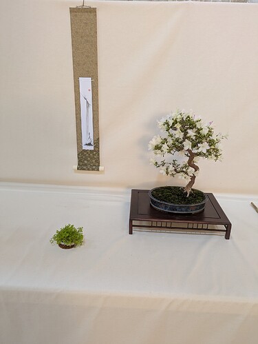 PXL_20250524_152405244