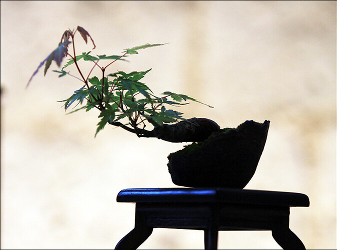 2025.05.25(41)copie1