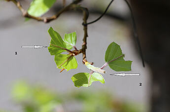 IMG_1029cc