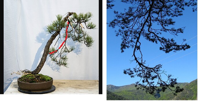 ___________DSCN01-1virt8