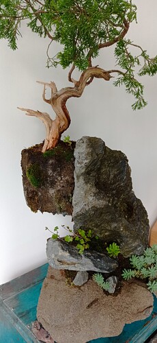 IMG_20250420_141615
