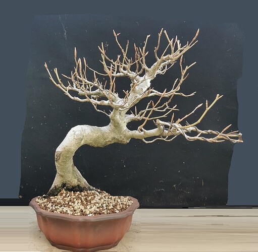 ___________DSCN132virt1