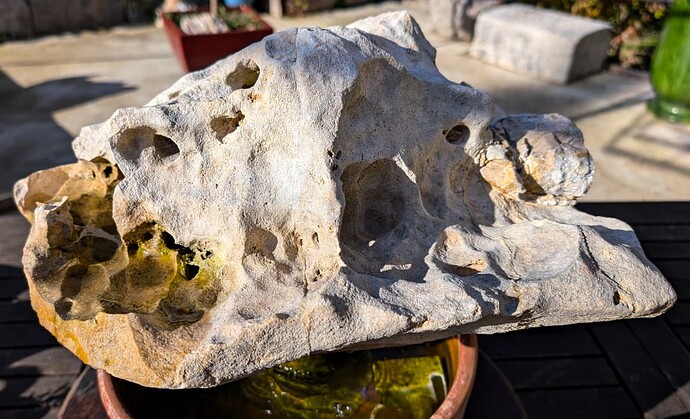 roche aquatique (3 sur 4)