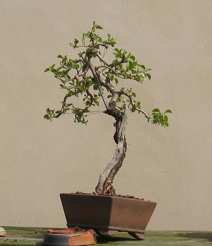 ste lucie 2012 05 06